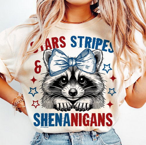 Stars Stripes & Shenanigans - Raccoon Graphic Tee